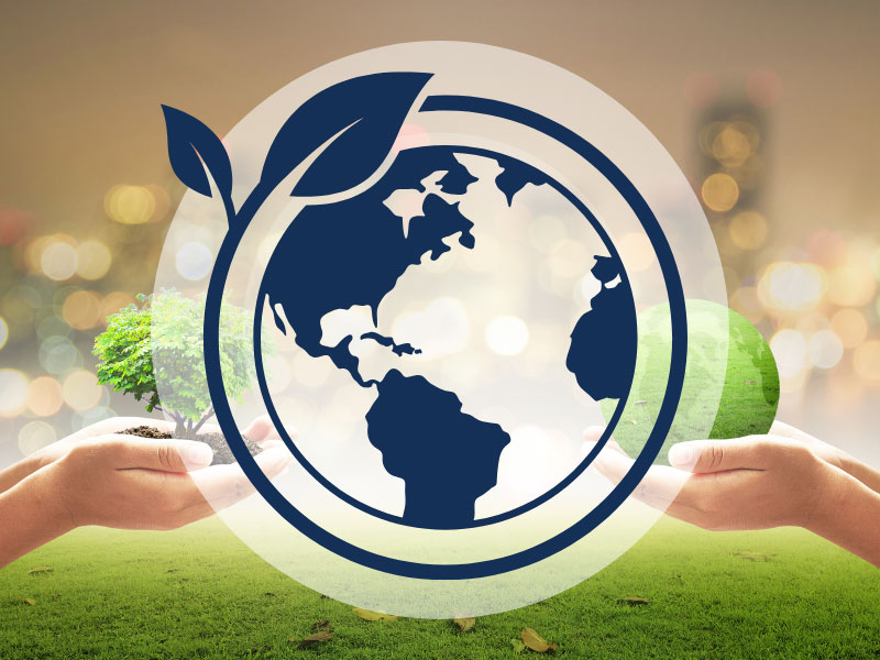 The Green Component – Environment